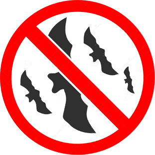 Control de Murciélagos
